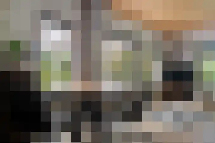 Verlengde Scholtenskanaal OZ 109 Emmer-Compascuum thumbnail 10