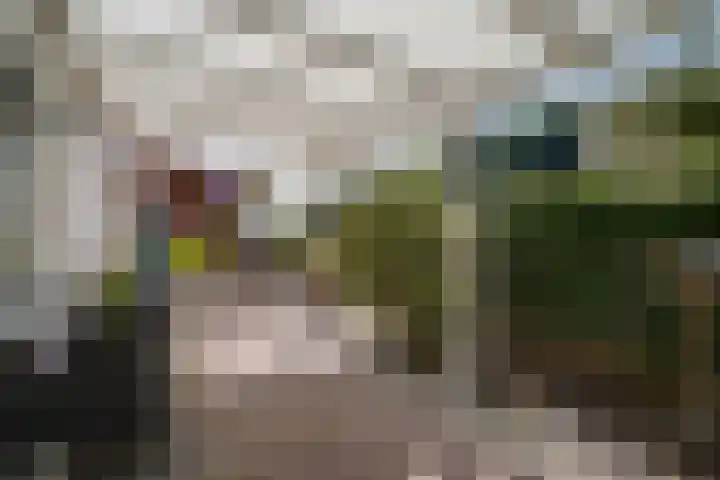 Verlengde Scholtenskanaal OZ 109 Emmer-Compascuum thumbnail 33
