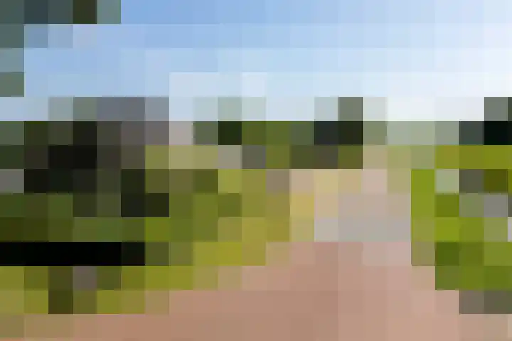Verlengde Scholtenskanaal OZ 109 Emmer-Compascuum thumbnail 38