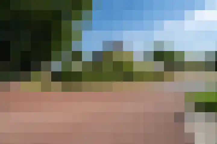 Verlengde Scholtenskanaal OZ 109 Emmer-Compascuum thumbnail 39