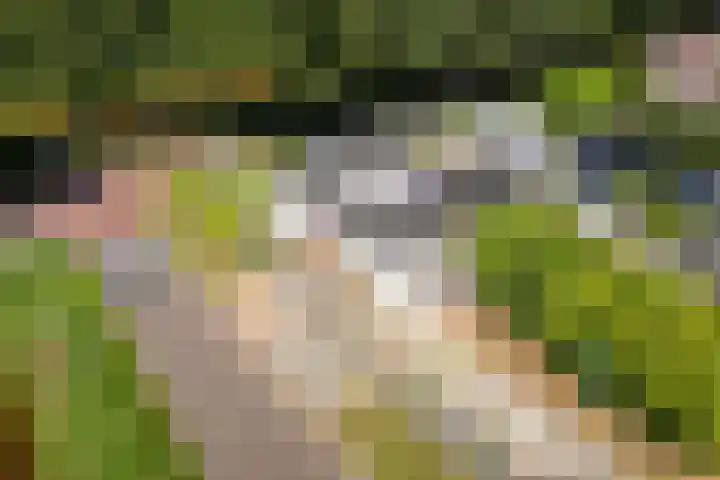 Verlengde Scholtenskanaal OZ 109 Emmer-Compascuum thumbnail 4
