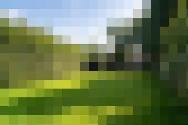 Verlengde Scholtenskanaal OZ 109 Emmer-Compascuum thumbnail 40