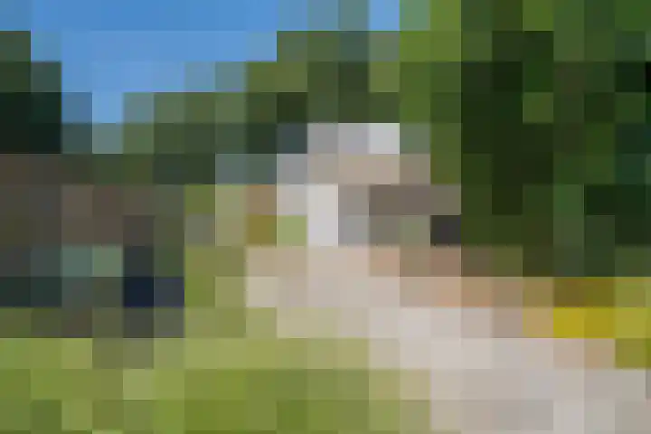 Verlengde Scholtenskanaal OZ 109 Emmer-Compascuum thumbnail 41