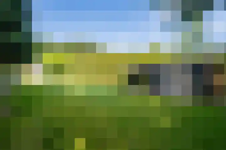 Verlengde Scholtenskanaal OZ 109 Emmer-Compascuum thumbnail 42