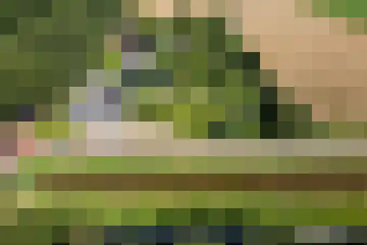 Verlengde Scholtenskanaal OZ 109 Emmer-Compascuum thumbnail 45