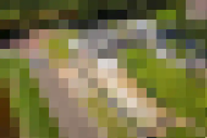Verlengde Scholtenskanaal OZ 109 Emmer-Compascuum thumbnail 46