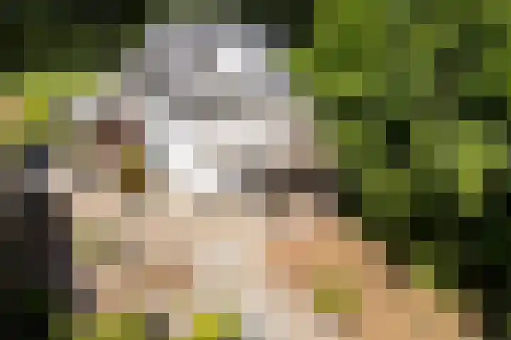 Verlengde Scholtenskanaal OZ 109 Emmer-Compascuum thumbnail 47