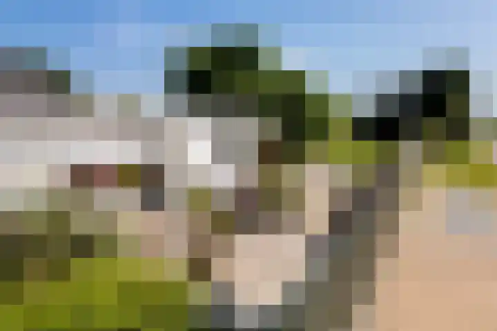Verlengde Scholtenskanaal OZ 109 Emmer-Compascuum thumbnail 49