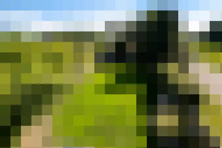 Verlengde Scholtenskanaal OZ 109 Emmer-Compascuum thumbnail 5