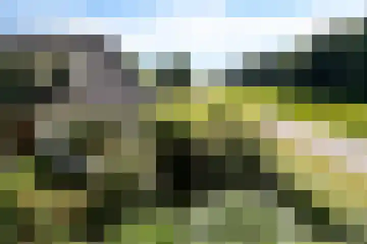 Verlengde Scholtenskanaal OZ 109 Emmer-Compascuum thumbnail 50