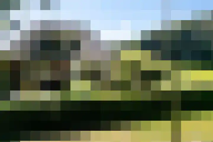 Verlengde Scholtenskanaal OZ 109 Emmer-Compascuum thumbnail 51