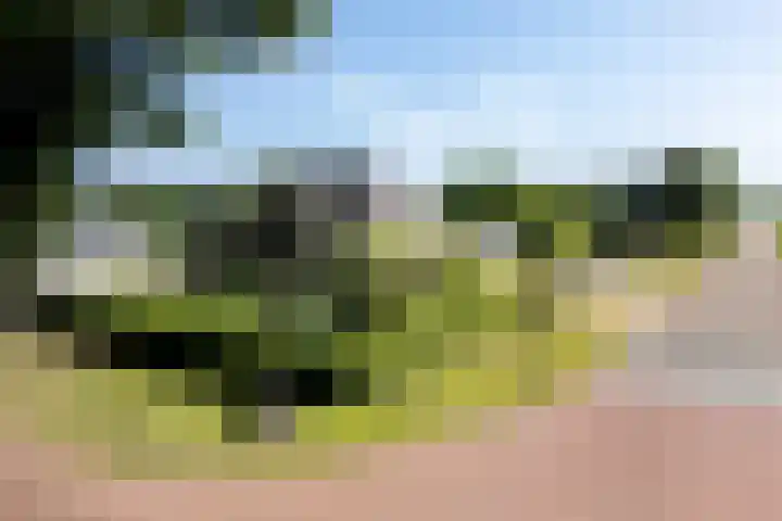 Verlengde Scholtenskanaal OZ 109 Emmer-Compascuum thumbnail 52