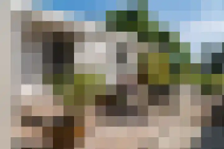 Verlengde Scholtenskanaal OZ 109 Emmer-Compascuum thumbnail 7