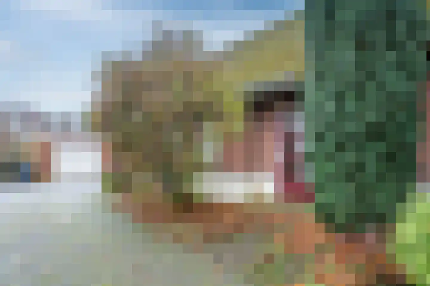 Verlengde Scholtenskanaal OZ 36 Emmer-Compascuum thumbnail 27
