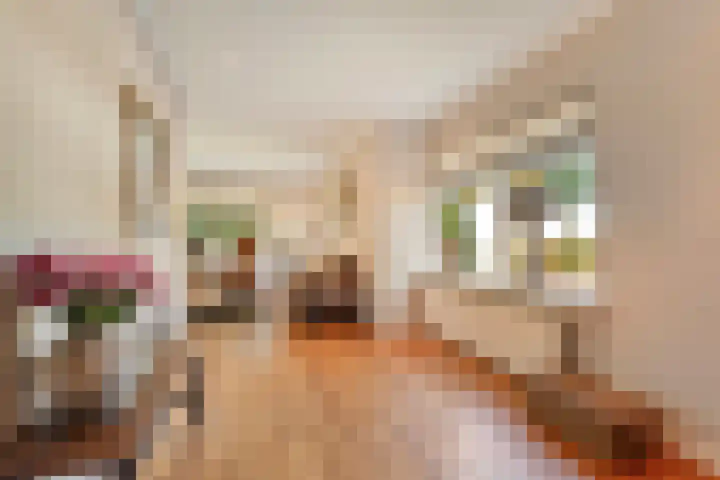 Verlengde Scholtenskanaal OZ 63 Emmer-Compascuum thumbnail 16