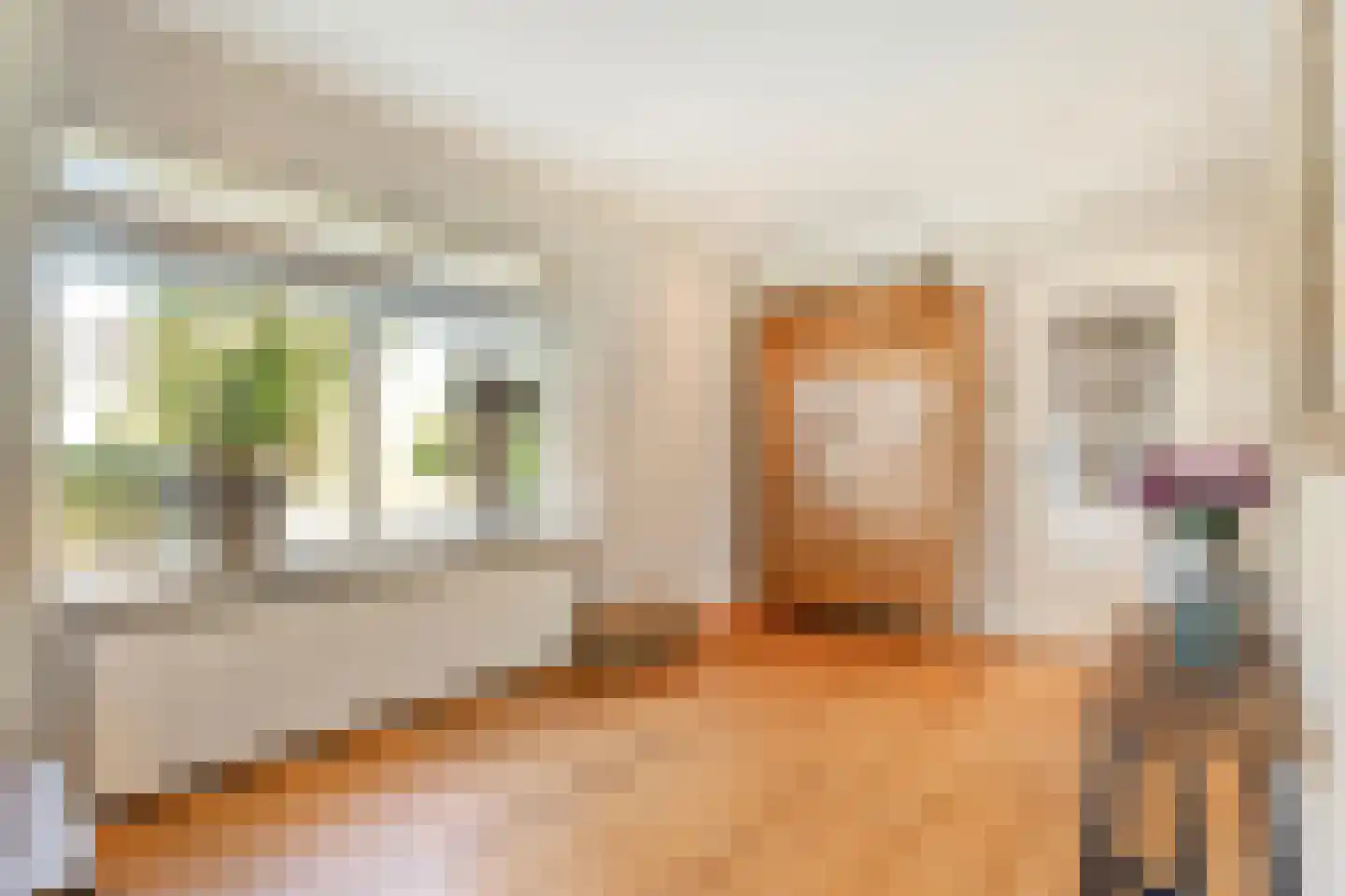 Verlengde Scholtenskanaal OZ 63 Emmer-Compascuum thumbnail 18