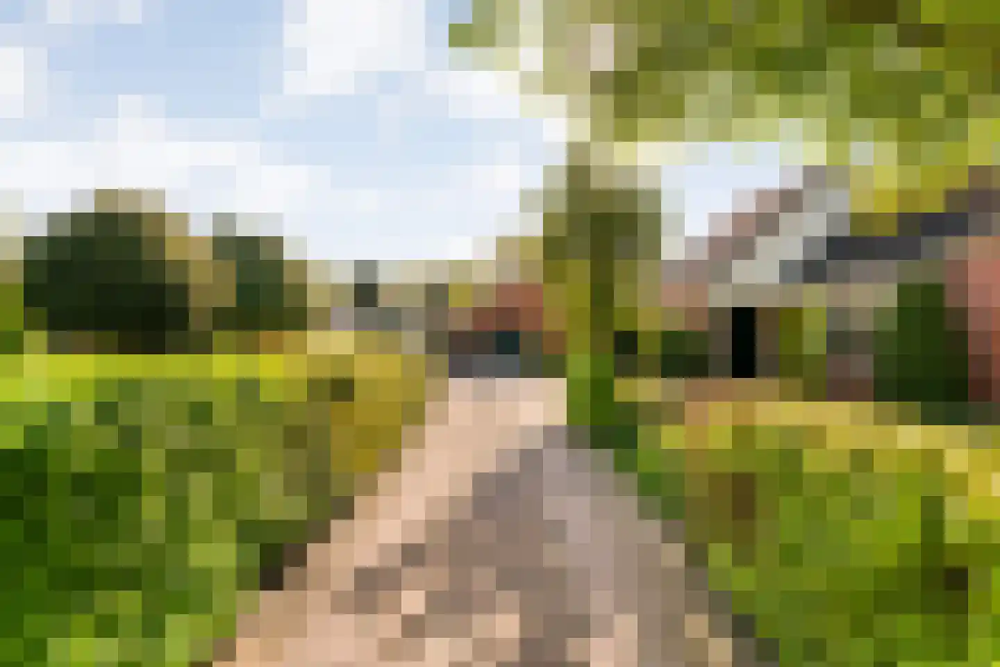 Verlengde Scholtenskanaal OZ 63 Emmer-Compascuum foto 2