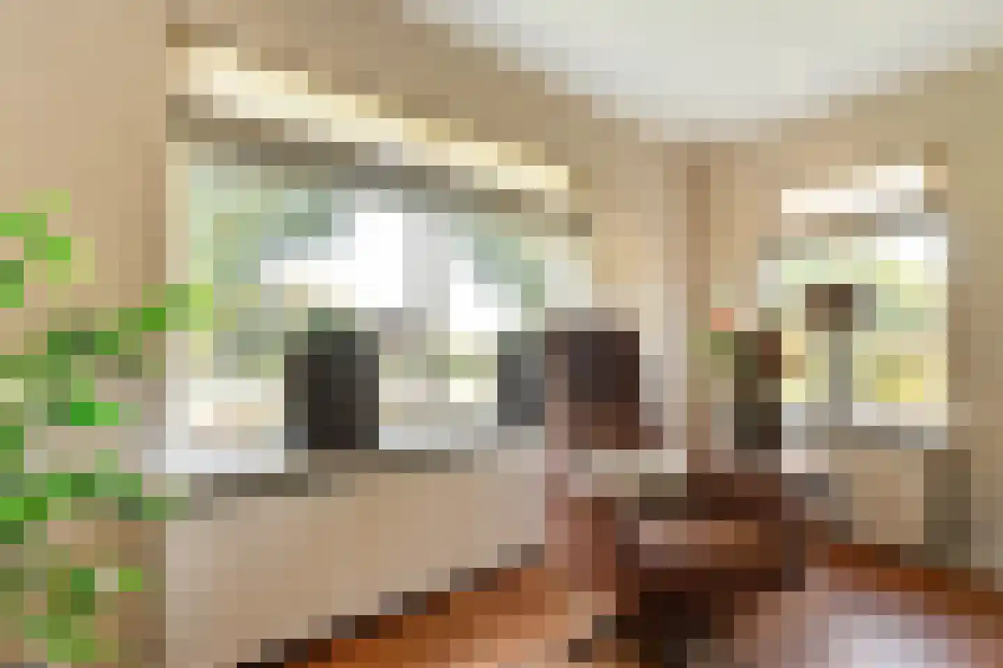 Verlengde Scholtenskanaal OZ 63 Emmer-Compascuum thumbnail 20