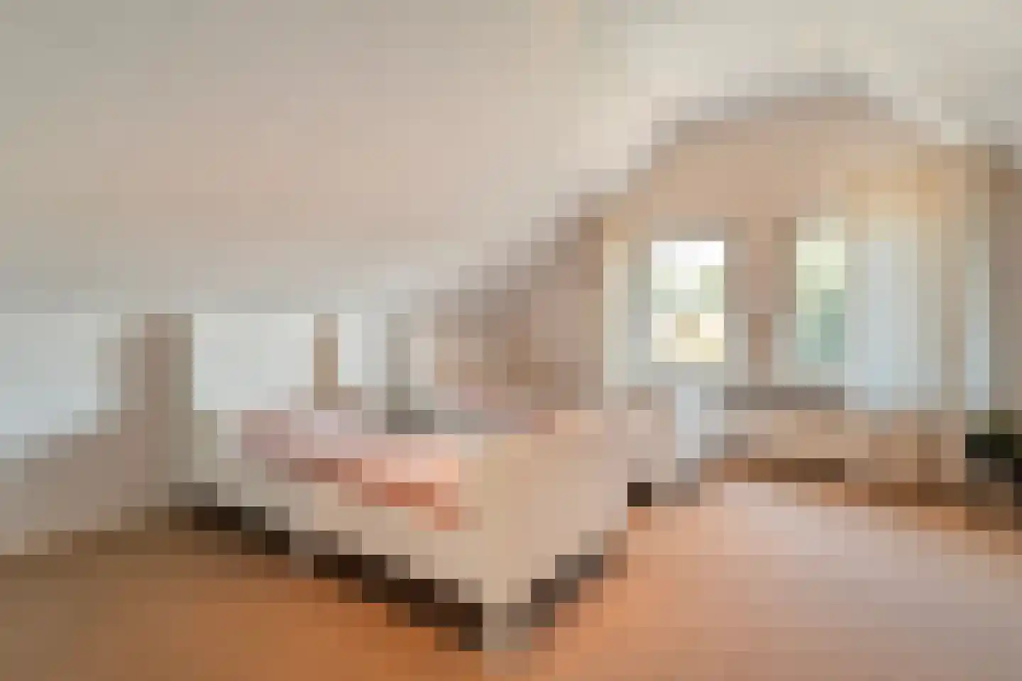 Verlengde Scholtenskanaal OZ 63 Emmer-Compascuum thumbnail 40