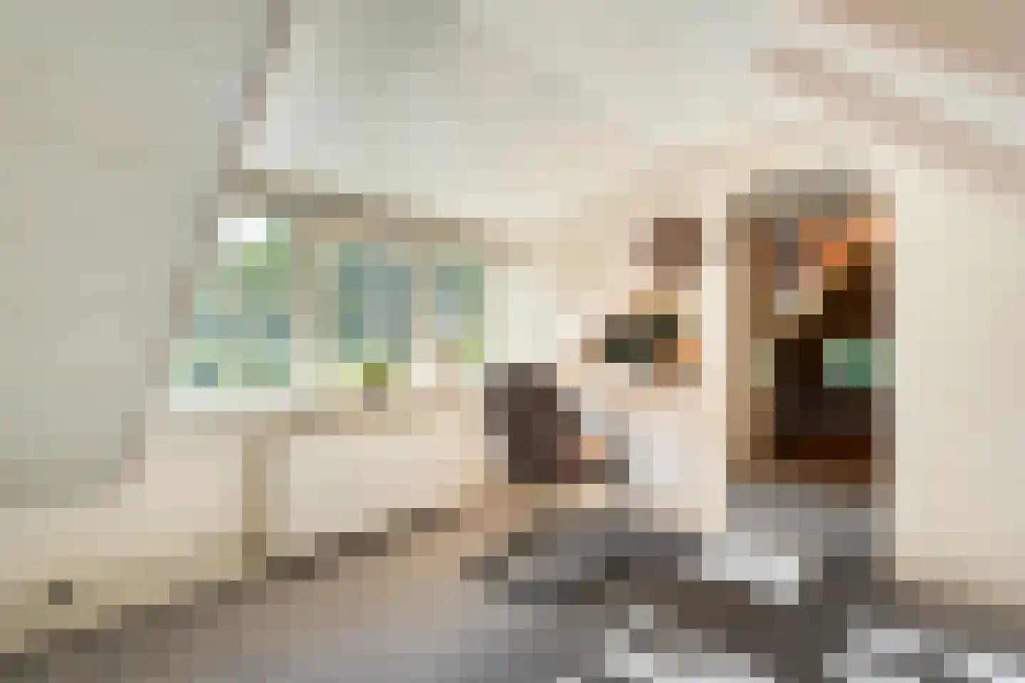 Verlengde Scholtenskanaal OZ 63 Emmer-Compascuum thumbnail 42