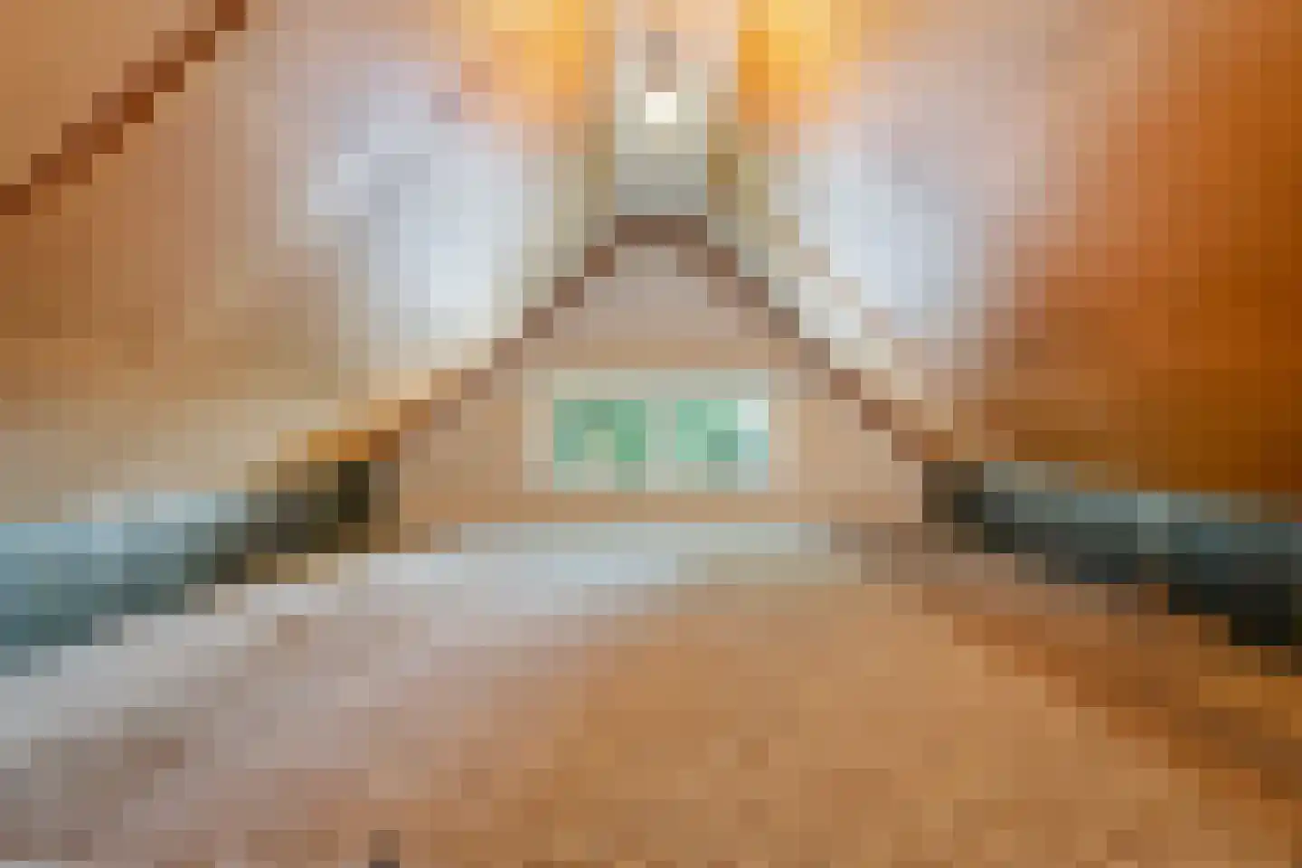 Verlengde Scholtenskanaal OZ 63 Emmer-Compascuum thumbnail 44