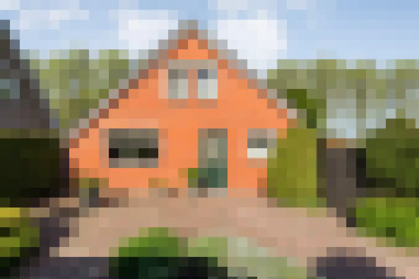 Verlengde Scholtenskanaal OZ 63 Emmer-Compascuum thumbnail 50