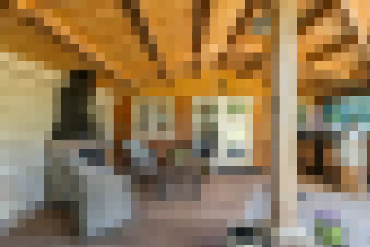 Verlengde Scholtenskanaal OZ 63 Emmer-Compascuum thumbnail 60