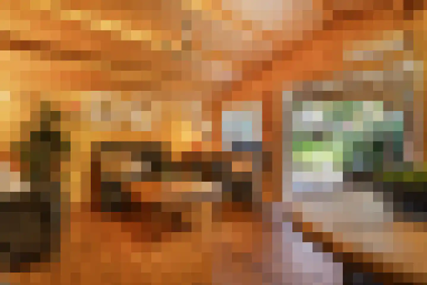Verlengde Scholtenskanaal OZ 63 Emmer-Compascuum thumbnail 65