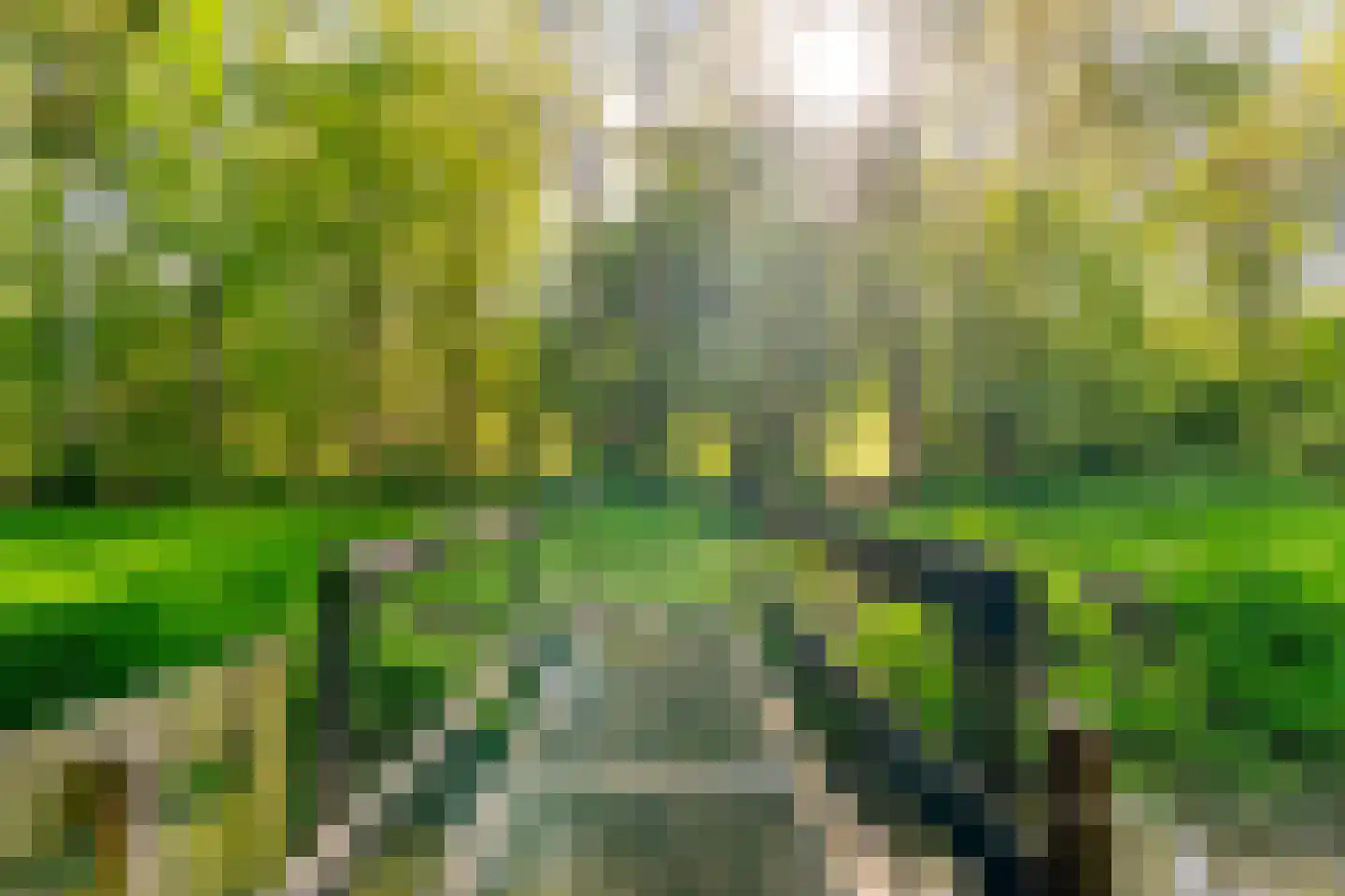 Verlengde Scholtenskanaal OZ 63 Emmer-Compascuum thumbnail 71