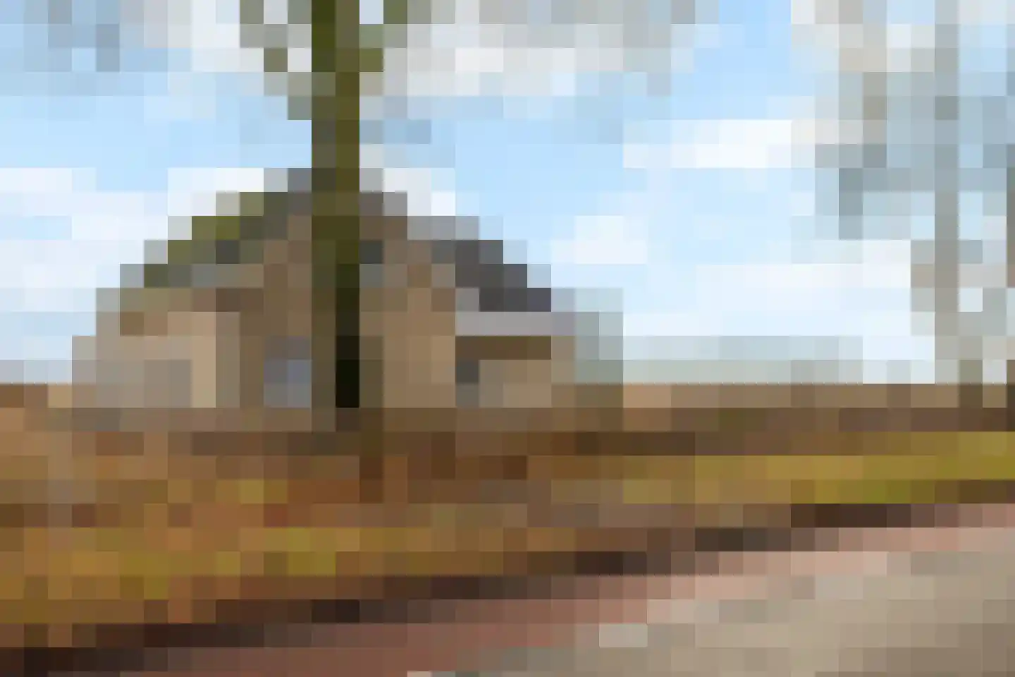 Verlengde Scholtenskanaal OZ 95 Emmer-Compascuum thumbnail 4