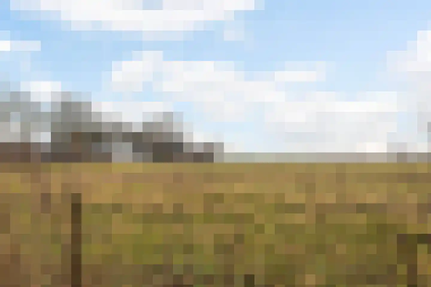 Verlengde Scholtenskanaal OZ 95 Emmer-Compascuum thumbnail 45