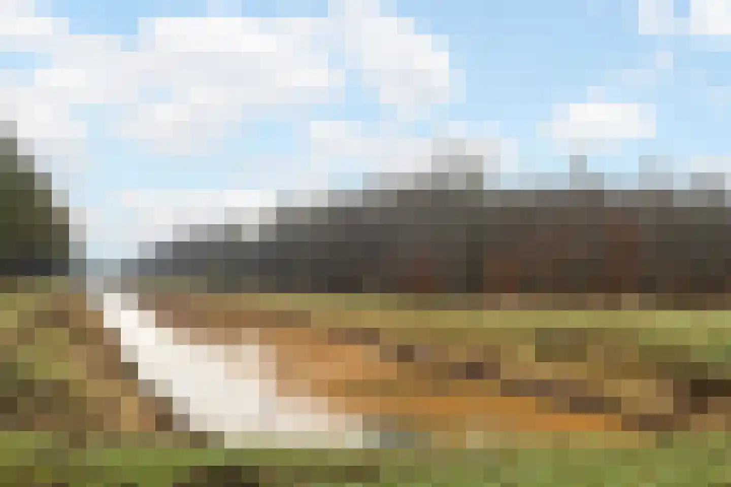 Verlengde Scholtenskanaal OZ 95 Emmer-Compascuum thumbnail 46