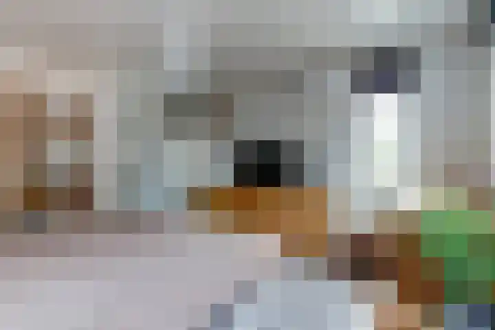 Verlengde Scholtenskanaal WZ 47 Emmer-Compascuum thumbnail 12