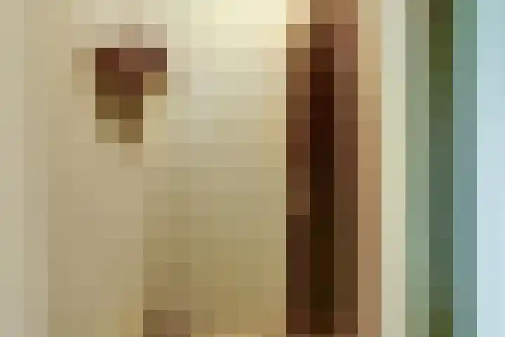 Verlengde Scholtenskanaal WZ 47 Emmer-Compascuum thumbnail 18