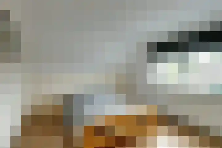Verlengde Scholtenskanaal WZ 47 Emmer-Compascuum thumbnail 24