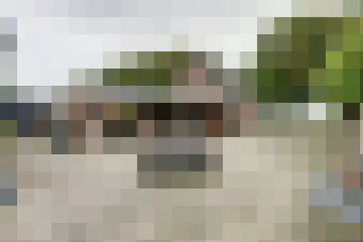 Verlengde Scholtenskanaal WZ 47 Emmer-Compascuum thumbnail 26