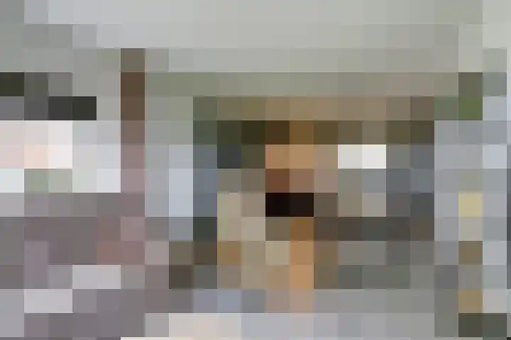Verlengde Scholtenskanaal WZ 47 Emmer-Compascuum foto 3