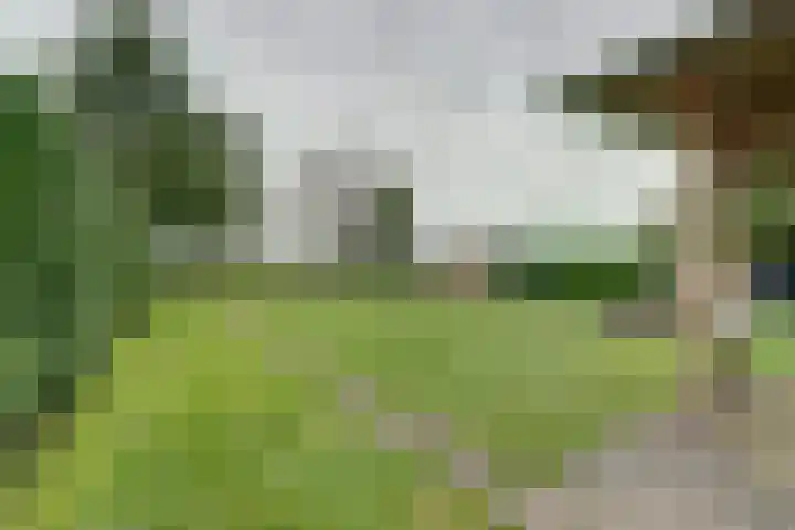 Verlengde Scholtenskanaal WZ 47 Emmer-Compascuum thumbnail 34