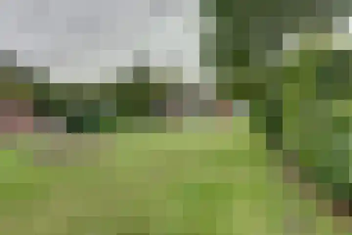 Verlengde Scholtenskanaal WZ 47 Emmer-Compascuum thumbnail 35