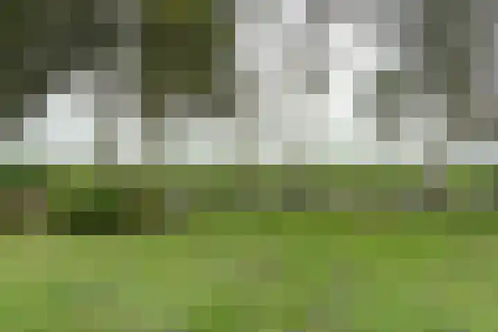 Verlengde Scholtenskanaal WZ 47 Emmer-Compascuum thumbnail 36