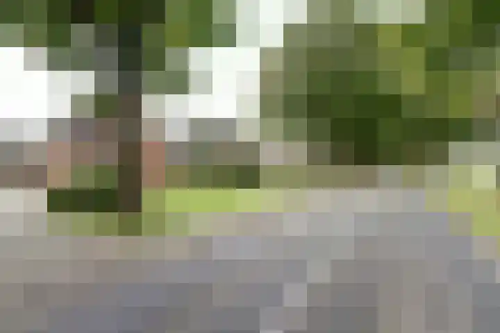 Verlengde Scholtenskanaal WZ 47 Emmer-Compascuum thumbnail 39