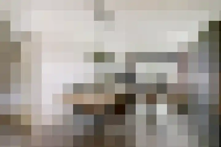 Verlengde Scholtenskanaal WZ 47 Emmer-Compascuum thumbnail 5