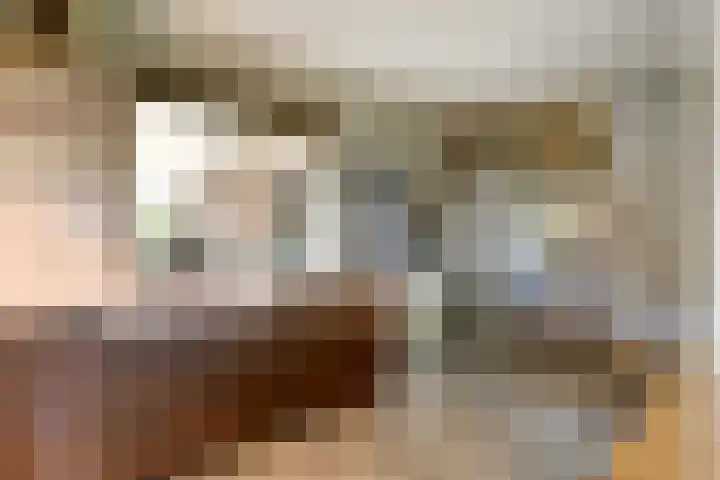 Verlengde Scholtenskanaal WZ 47 Emmer-Compascuum thumbnail 8