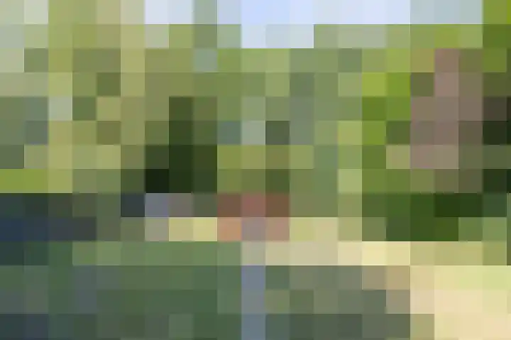 Verlengde Scholtenskanaal WZ 6 Emmer-Compascuum thumbnail 27