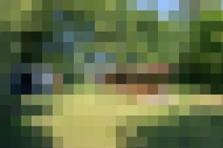Verlengde Scholtenskanaal WZ 6 Emmer-Compascuum thumbnail 30