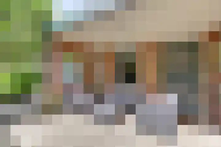 Verlengde Scholtenskanaal WZ 64 Emmer-Compascuum thumbnail 22