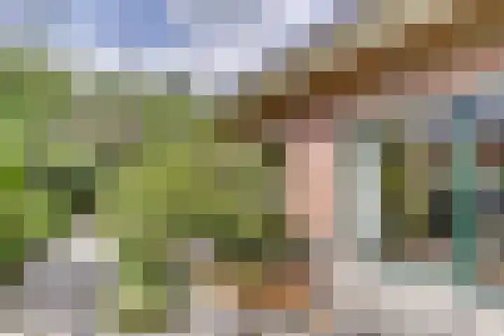 Verlengde Scholtenskanaal WZ 64 Emmer-Compascuum thumbnail 24