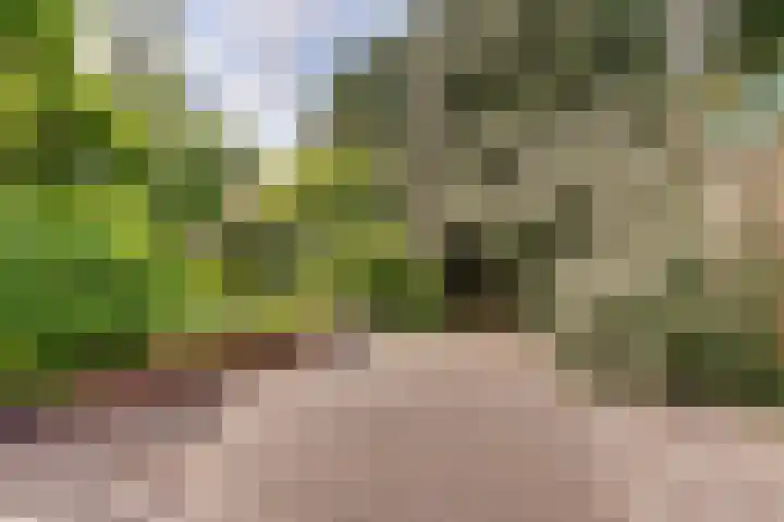 Verlengde Scholtenskanaal WZ 64 Emmer-Compascuum thumbnail 26