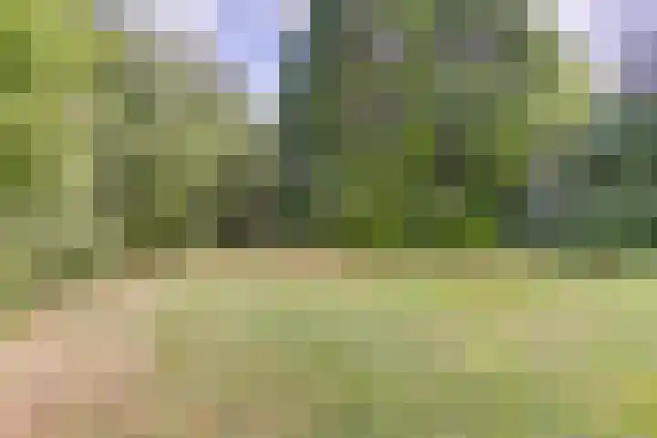 Verlengde Scholtenskanaal WZ 64 Emmer-Compascuum thumbnail 30