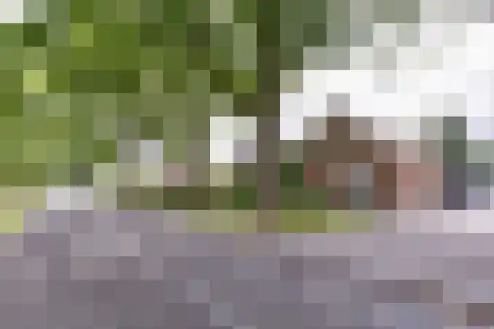 Verlengde Scholtenskanaal WZ 64 Emmer-Compascuum thumbnail 32